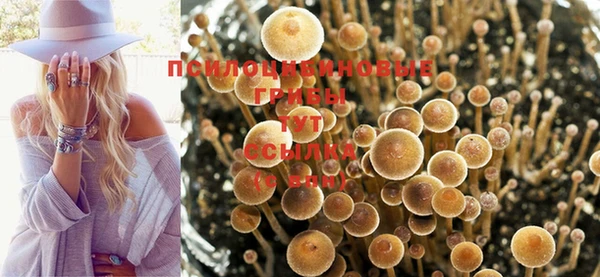 а пвп мука Баксан