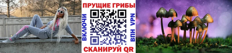 darknet как зайти  Рыбинск  Псилоцибиновые грибы Psilocybine cubensis 