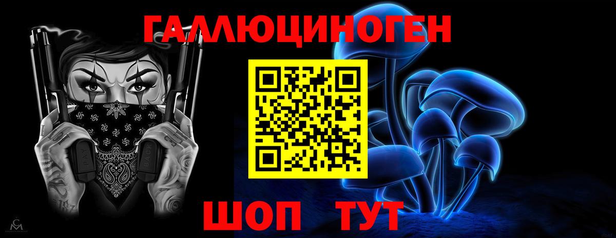 Псилоцибиновые грибы Psilocybine cubensis Рыбинск