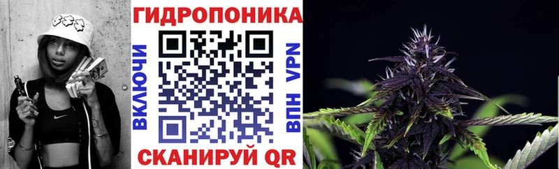 Бошки марихуана Bruce Banner  KRAKEN   Рыбинск 